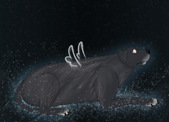 Black - Pet Memorial Art